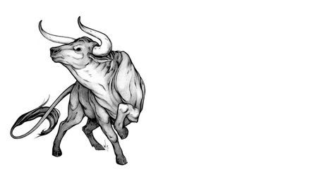 Ox Tattoo, Pearl Tattoo, Bull Tattoo, Bull Tattoos, Bull Art, Sharpie Tattoos, Tattoo Sketch, Tattoo Art Drawings, Tattoo Sketches