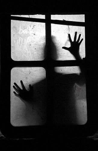 Sorry for looking through your window... Creepy Window, Scary Photography, Window Shadow, Horror Photography, Creepy Guy, Creepy Horror, Dark Pictures, Halloween Photos, Creepy Halloween