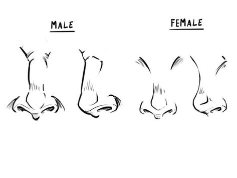 Noses Front View Drawing, Women Nose Drawing, How To Draw Noses Front View, Nose Drawing Male, Female Face Reference Front View, Anime Noses Front View, Front Facing Nose Drawing, Front Nose Drawing, Male Nose Drawing Reference