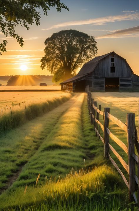 A stunning sunrise illuminates a rustic farm scene. The weathered barn and fence add to the charm, while the dew-kissed fields create a sense of tranquility. This captivating image is a celebration of rural beauty. #ruralphotography #sunrise #farmlife Farm Sunrise, Nature Photography Animals, Farm Inspiration, Farm Aesthetic, Farm Photos, Barn Pictures, Rural Lifestyle, Future Farms, Country Landscape