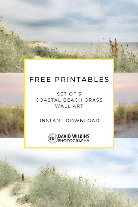 Free Coastal Beach Grass Printables | Instant Downloadable Wall Art | acrylic painting food
, kitchen artwork painting
, kitchen artwork painting
, acrylic painting kitchen art
, oil painting food
, kitchen paintings art wall decor
, kitchen paintings art wall decor bohemian
, fruit wall art
, fruit art print
, fruit painting prints
, abstract fruit painting
, fruit canvas painting Beach Printables, Nature Paint, Beachy Wall Art, Paintings Wall Decor, 3 Panel Wall Art, Landscapes Beautiful, Grass Art, Triptych Art, Beachy Theme