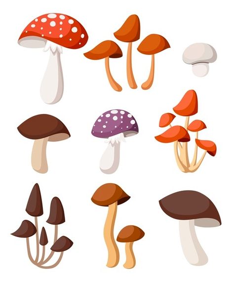 Mushroom Vector, Mushrooms Illustration, Birthday Fiesta, Background Food, Mushroom Paint, Alphabet Images, Cute Mushroom, Floral Embroidery Patterns, Mushroom Decor