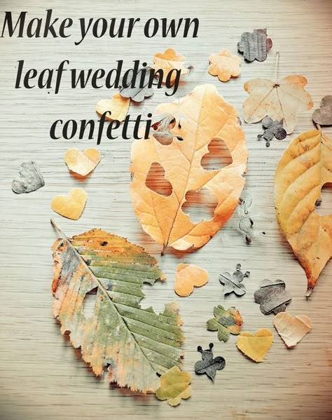 Create your own biodegradable leaf confetti for your rustic wedding- http://www.wildflower-favours.co.uk/make-your-own-leaf-wedding-confetti/ Leaf Confetti, Biodegradable Confetti, Eco Wedding, Eco Friendly Wedding, Wedding Confetti, Wedding Crafts, Woodland Wedding, Online Wedding, Wedding Diy