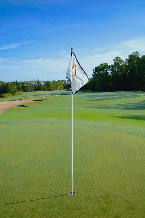 Golf Scenery, Golf Flags, Golf Hitting Net, Golf Flag, St Andrews Golf, Golf Pga, Augusta Golf, Augusta National Golf Club, Exclamation Point