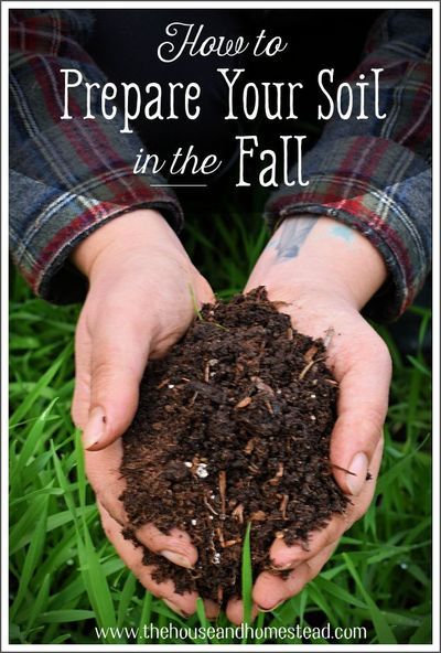 Learn how to prepare your soil in the fall for planting in spring and give yourself a leg up on next year's vegetable garden growing season! #fallgarden #fallgardening #healthysoil #garden #gardening #gardener #gardeningtips #organicgardening #organicgarden #vegetablegardening #vegetablegarden #growyourownfood Ripen Green Tomatoes, Organic Pest Control, Thriving Garden, Healthy Garden, Sustainable Garden, Easy Garden, Grow Your Own Food, Garden Soil, Planting Herbs