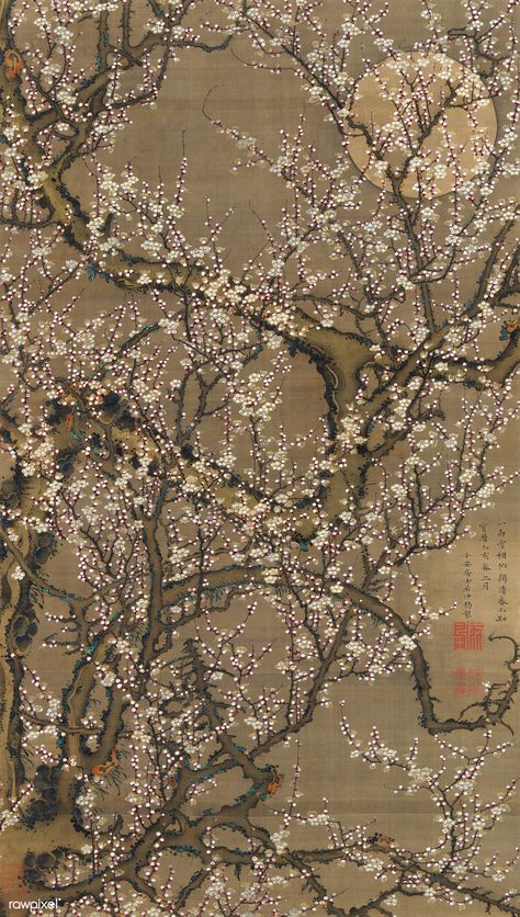 White Plum Blossoms and Moon (1755) illustration by Ito Jakuchu. Original from The MET Museum. Digitally enhanced by rawpixel. | free image by rawpixel.com / The Metropolitan Museum of Art (Source) Art Floral Japonais, Ito Jakuchu, Japanese White, White Plum, Plum Blossoms, Free Illustration Images, Mural Floral, Tile Murals, Art Japonais