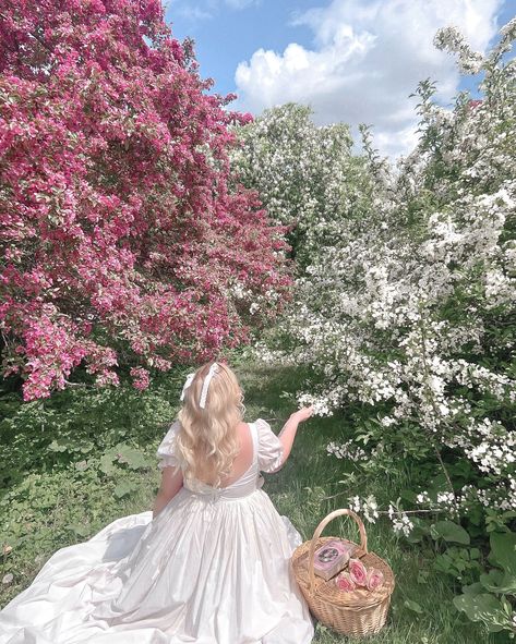 living in my own romance novel 🦢🎀🤍🌸 wearing the @selkie ivory love story gown - use code EDITIONVICKI to save 🧺 #selkiepartner #selkie — Princess core, romance core, bridgerton core, angel core, bridal dress, romantic style, soft girl aesthetic, cottage core midsize style, spring core — #softgirl #softgirlaesthetic #princesscore #bridaldress #springstyle #pinterestgirl #midsizestyle #cottagecoreaesthetic #cottagecorecommunity #romanticstyle #romancecore #bridgertonstyle Sweet Girl Aesthetic, Soft Romantic Aesthetic, Kaitlyn Core, Romance Core, Bridgerton Core, Style Soft Girl, Cottage Girl, Spring Core, Aesthetic Cottage Core