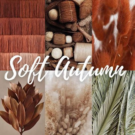 Muted autumn colours Soft blended pallet Soft Autumn Home Decor, Soft Autumn Interior Design, Soft Autumn Burgundy, Soft Autumn Bedroom, Soft Autumn Boho Outfits, Soft Autumn Outfits Casual, Soft Autumn Romantic, Soft Autumn Outfits Aesthetic, Soft Autumn Red