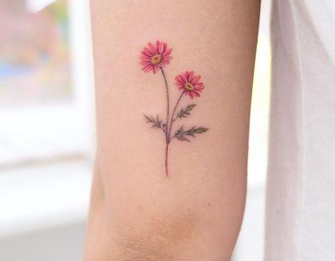 Gerber Daisy Tattoo Color, Gerbera Flower Tattoo, Red Daisy Tattoo, Pink Daisy Tattoo, Siyeon Tattoo, Gerber Daisy Tattoo, Gerbera Daisy Tattoo, Tattoo Daisy, Best Feminine Tattoos