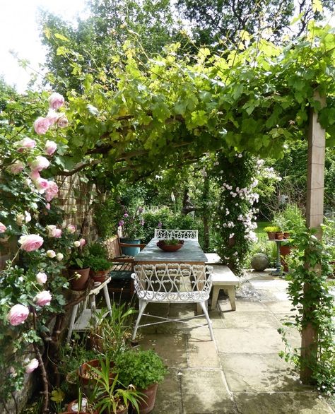 Garden Visit: At Home with Writer Daisy Garnett in London Small City Garden, Garden Nook, London Garden, Garden Area, Have Inspiration, Public Garden, City Garden, Flowers Wallpaper, Garden Seating