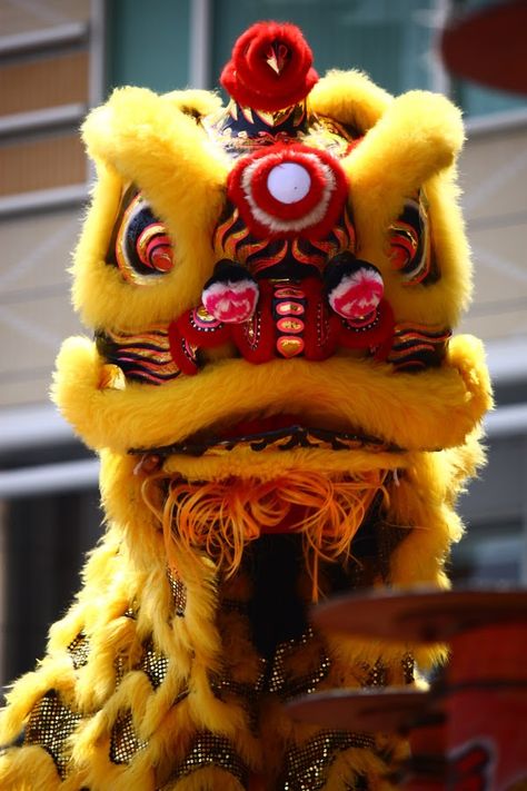 Chinese New Year Lion Dance, Lion Dragon, Chinese Lion Dance, Chinese Lion, Dragon Chino, Chinese New Year Dragon, Foo Dogs, Dragon Dance, Lion Dance