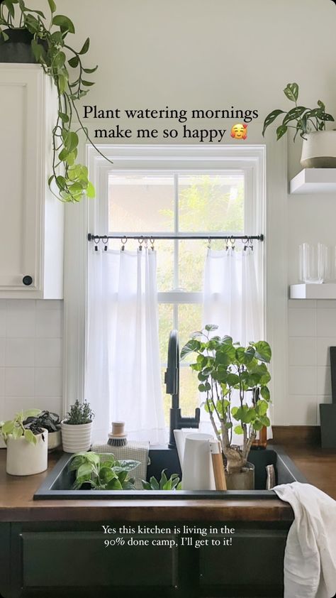 Home Plants Aesthetic, Plants Aesthetic, Home Plants, Plants