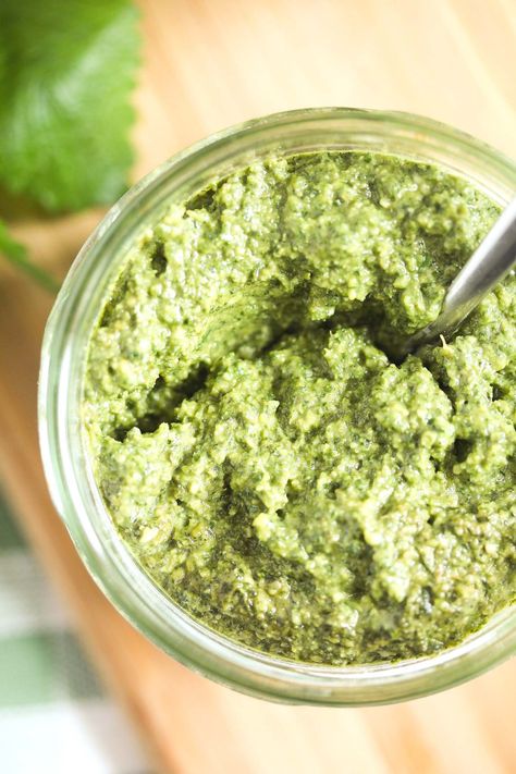 Flavorful lemon balm pesto – the best thing you can do when you have a huge bush of lemon balm growing in your garden. #whereismyspoon #lemonbalmpesto #lemonbalmpestorecipe #lemonbalmrecipes #lemonbalmplant #lemonbalmuses #whattodowithlemonbalm Lemon Balm Uses, Lemon Balm Recipes, Lemon Balm Plant, Dandelion Greens, Lemon Pesto, Green Pesto, Herb Recipes, Bbc Good Food, Garlic Clove