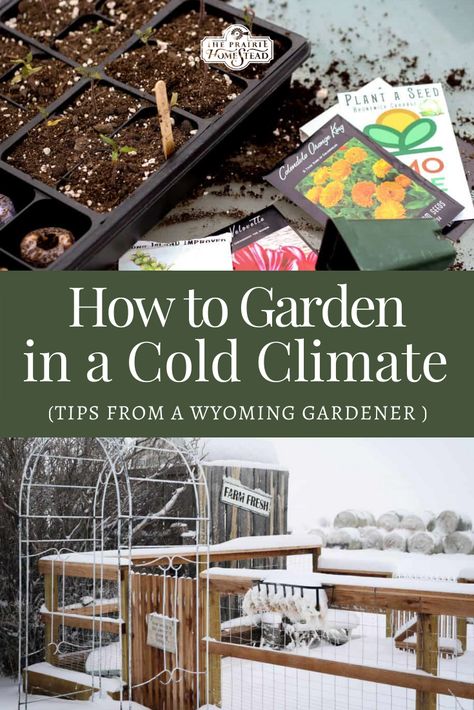 How to Garden in a Cold Climate: Tips from a Wyoming Gardener Permaculture Cold Climate, Off Grid Cold Climate, Gardening In Cold Climates, Gardening In Wyoming, Cold Climate Garden, Wyoming Gardening, Maine Gardening, Wyoming Homestead, Homesteading Life