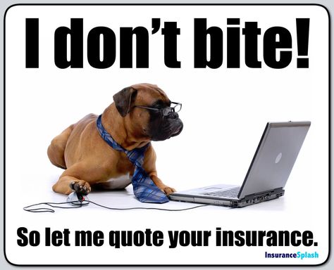 Insurance Meme, Insurance Humor, Life Insurance Marketing, Life Insurance Facts, Life Insurance Agent, Best Health Insurance, Insurance Sales, Insurance Marketing, Life Insurance Quotes