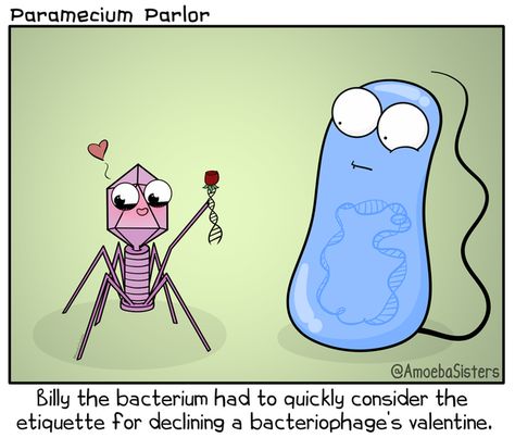 Bio Jokes, Science Humor Chemistry, Amoeba Sisters, Science Humour, Biology Jokes, Biology Memes, Science Cartoons, The Awkward Yeti, Science Comics