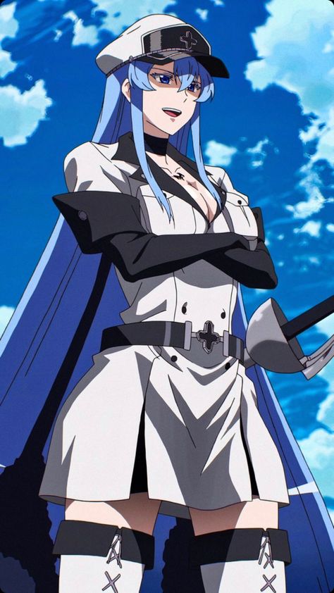 Akame Ga Kill Esdeath, Akame Ga Kil, Akame Ga, Ice Queen, The Ice, An Anime, Blue Hair, Anime Character, Anime Wallpaper