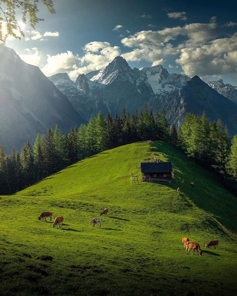 wonderhome — utwo: Austria Mountains © H.Falkner Austria Mountains, Mountains Aesthetic, Summer Garden Party, Dreamy Landscapes, Travel Wishlist, Geology, Sunny Days, Austria, Switzerland