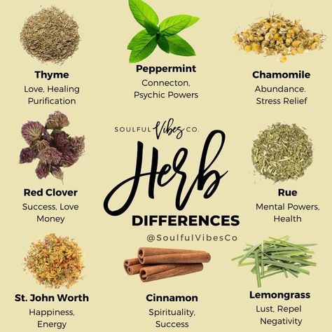 Spiritual Shop on Instagram: “What Herb could you use to Manifest with?⁠ Comment below ⬇️⁠ ⁠⁠ ⁠ ⁠ 🛒 Grab some herbs and salts to create the perfect ritual bath,…” Witchcraft Herbs, Magickal Herbs, Witch Herbs, Wiccan Magic, Magic Herbs, Magical Herbs, Herbal Apothecary, Ritual Bath, Herbal Healing