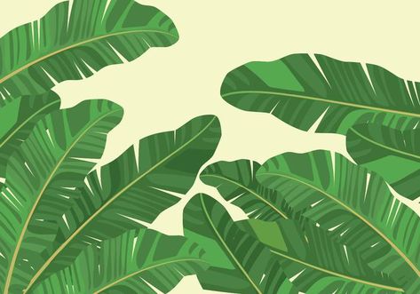 Banana Leaf Background Leaf Background Decoration, Banana Leaf Background, Banana Leaf Decor, Banyan Leaf, Leaf Decor Wedding, Banana Leaf Pattern, Banana Leaf Wallpaper, Flower Decorations Diy, Leaf Illustration