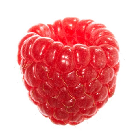 I could live off of raspberries.... Raspberry, Fruit, White