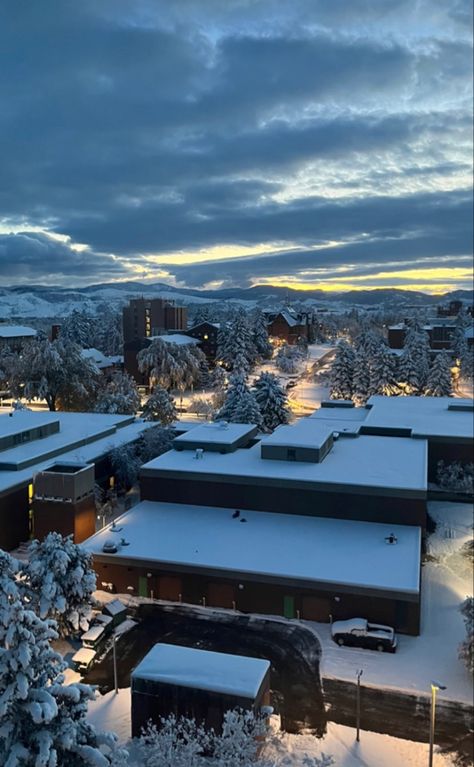 Montana State University Aesthetic, Veterinarian Motivation, Montana Aesthetic, Campus Aesthetic, Montana Winter, Colorado College, Montana State University, University Of Montana, App State