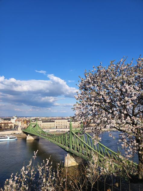 #spring #budapest #gellerthill #city #buda #hungary Budapest Spring, Spring Walk, Budapest, Hungary, Travel