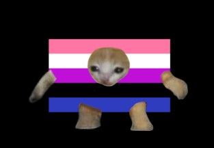 Chaotic Cat Pfp, Gender Fluid Art, Interesting Cats, Genderfluid Art, Genderfluid Aesthetic, Genderfluid Flag, Genderfluid Pride, Bi Flag, Cat Pfp