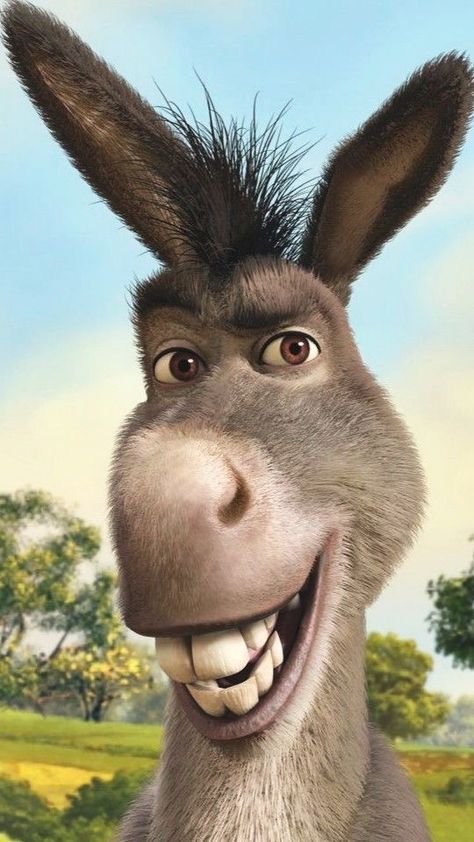 I chose a picture of Donkey from ‘Shrek’ because he is very chatty and annoys the impatient ogre with his remarks. Donkey From Shrek, Image Joker, Shrek Donkey, Male Cartoon Characters, Sir Anthony Hopkins, ملصق ديني, Cartoon Wallpaper Hd, Cartoon Character Pictures, Pinturas Disney