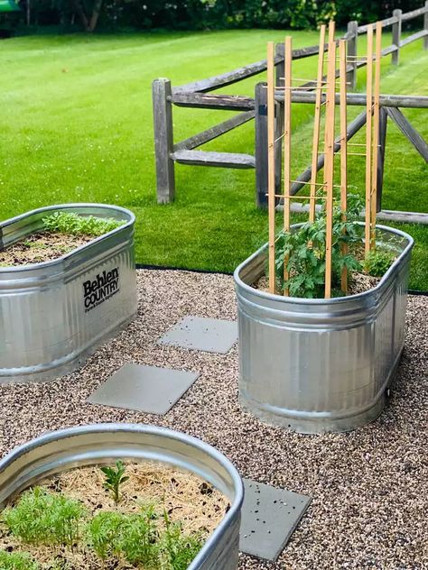 Water Trough Garden, Stock Tank Garden, Stock Tank Gardening, Inexpensive Raised Garden Beds, Backyard Raised Garden, Diy Stock Tank, Garden Bed Ideas, Raised Garden Planters, Earthly Delights