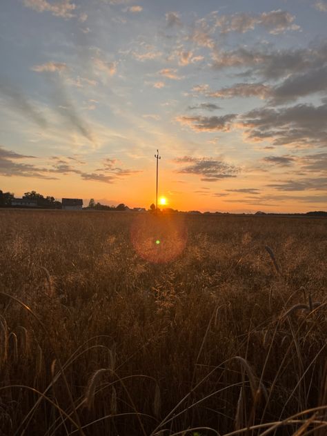 #sunset #grain #fields #easterneuropecore #poland #grain #sky #colors #gold #clouds #picoftheday #picture #photography #photooftheday #photo #picture #pic #new #amazing #traveling #travel #travelgram #goldenhour #pin #pinterest Gold Clouds, Eastern Europe, Golden Hour, Poland, Grain, Photography, Travel, Gold, Color