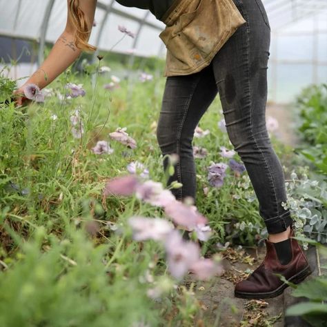 Blundstone Boots Review l Women's Blundstone Chelsea Boots 585 How To Wear Blundstone Boots, Styling Blundstone Boots Women, Style Blundstones, Blundstone Outfit Women, How To Style Blundstone Boots, Blundstone Boots Outfit, Styling Blundstone Boots, Blundstone Boots Women, Blundstone Outfits