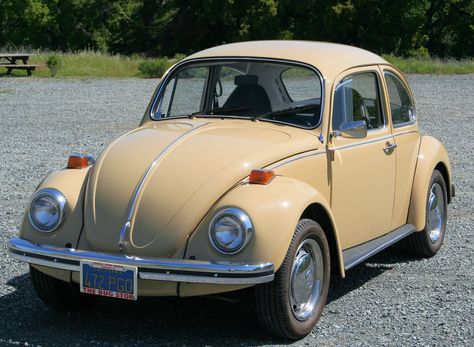 73 Vw Beetle, 70s Vw Beetle, 1972 Vw Beetle, 1970 Beetle, 1973 Vw Beetle, 1972 Volkswagen Beetle, 1975 Vw Beetle, Vw Super Beetle, Vw Type 3