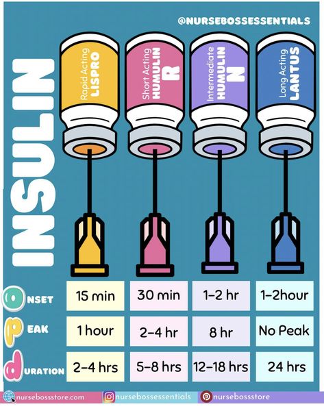 Nursing School Studying Cheat Sheets, Nurse Things, Types Of Insulin, Medical Assistant Student, Nursing School Essential, Nursing School Motivation, Medical School Life, Nurse Study Notes, Nursing Mnemonics