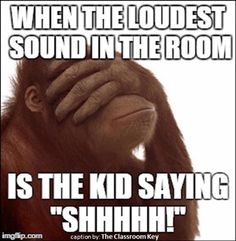 the loudest sound in the room...***facepalm*** #teacherproblems Teacher Humour, Teacher Memes Funny, Classroom Humor, Teaching Memes, Classroom Memes, Teacher Quotes Funny, Teaching Humor, Teacher Problems, Teaching Quotes