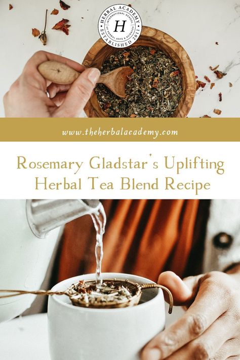 In this video, we are delighted to have herbalist Rosemary Gladstar share a joyful and uplifting tea blend recipe that is a favorite! Herbalism Books, Herbal Knowledge, Healing Tea Recipes, Rosemary Gladstar, Living Naturally, Tea Blends Recipes, Herbal Academy, Herbal Tea Benefits, Rosemary Tea