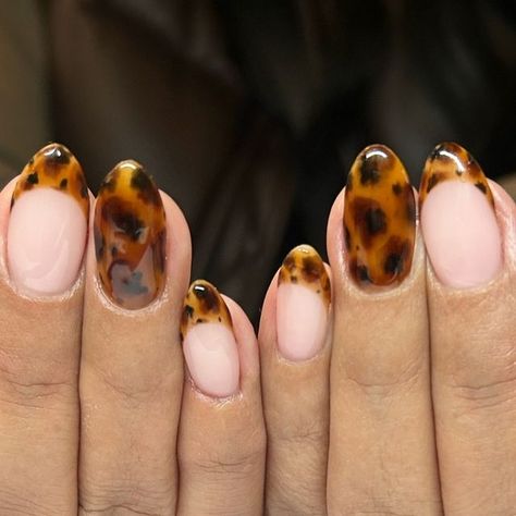 Nails By Kayla on Instagram: "You can never go wrong with classic tortoise shell nails!!😍 • • #fallnails #tortoiseshellnailart #tortoiseshellnails #neutralnails #nailart #brownnails #nailtech #nailstagram #nailaaddict #nailsofinstagram #handpaintednailart #trendynails #gelnails #luminarynails #acrylicnails #nails" Tortoise Shell Nail Tips, Torrid Shell Nails, Tortoise Gel Nails, Tortoiseshell Nails With Gold, Brown Turtle Shell Nails, Tortoise Nails Almond, Tortoise Tip Nails, Tortoise Shell And Gold Nails, Tortice Nails