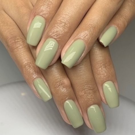 Shades Of Green Nails, Matcha Green Nails, Green Square Nails, Doodle Nail Art, Plain Acrylic Nails, Unicorn Doodle, Vibe Nails, Nails Coffin Short, Olive Nails