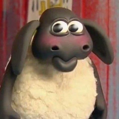 Timmy Shaun The Sheep, Shawn Sheep, Shaun The Sheep Timmy, Timmy The Sheep, Shawn The Sheep, Sheep Meme, Sheep Icon, Timmy Time, Cartoon Sheep