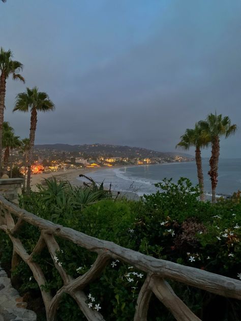 laguna beach, ca Palm Trees, The Beach, Trees, Instagram