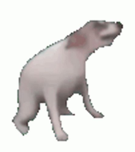 Dancing Dog Gif, Dog Dance, Meme Gifs, Pixel Gif, Dance Memes, Dog Animation, Dancing Animals, Random Gif, Pixel Animation