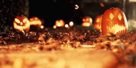 Halloween GIF - Halloween - Discover & Share GIFs Halloween Gif, The Boogeyman, Happy October, Banner Gif, Halloween Banner, Samhain, On The Ground, Hallows Eve, Halloween Night