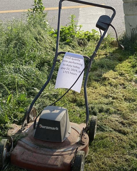 Someone in this neighborhood wanted to honor their fallen lawn mower. Nature Aesthetics, Inspirational Board, Aesthetic Nature, Cool Things, Cool Ideas, Cool Stuff, Nature Aesthetic, Email List, Lawn Mower