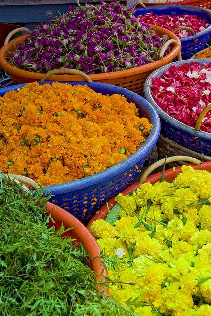 Mercado de Flores ~ Capture the spirit of Mexico at http://LaFuente.com  #Mexico #furniture #decor #interiordesign Indian Colours, Outdoor Market, Indian Culture, Historical Pictures, Mexican Style, Edible Flowers, Bright Colours, Incredible India, Flower Market