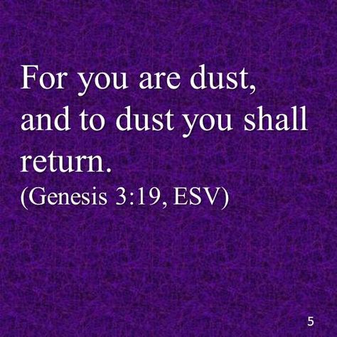 For you are dust,  and to dust you shall return.(Genesis 3:19, ESV) To Dust You Shall Return, To Dust You Shall Return Tattoo, Dust To Dust Quotes, Genesis 3:19 Tattoo, Genesis 3 19, Bible Board, Egypt Pyramids, Broken Spirit, Lincoln Logs