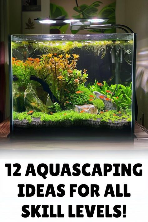 Elevate your aquarium game with these breathtaking aquascaping ideas that will transform your fish tank into a work of living art. Watch our video to learn how to create harmonious underwater ecosystems that are as beautiful as they are functional. Mini Aquarium Design, 3 Gallon Aquascape, Aquascape Aquarium Ideas Simple, Diy Aquascape Aquarium, Aquarium Scape Ideas, Fish Tank Aquascape, Fish Tank Designs, Ecosystem Aquarium, Aquascape Aquarium Beginner