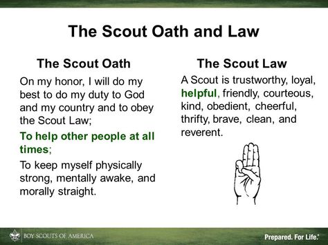 Scout Oath And Law, Scout Oath, Scout Law, The Scout, Dont Touch Me, Quick Saves