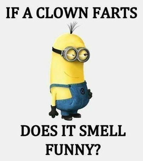 Funny Minion Pictures, Funny Kid Memes, Funny Memes About Life, Funny Quotes For Kids, Funny Pictures For Kids, Funny Jokes To Tell, Funny Jokes For Kids, Super Funny Quotes, Funny Quotes Sarcasm