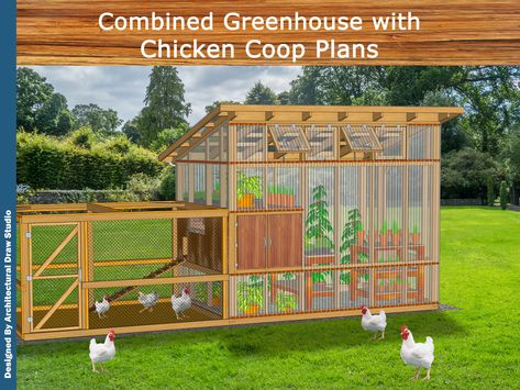 Decorating Backyard, Coop Layout, Chicken Coop Building Plans, Coop Decor, Gardening Backyard, Diy Greenhouse Plans, Diy Chicken Coop Plans, Landscaping Backyard, Coop Ideas