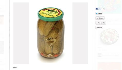 A frog in a pickle jar. | The 23 Grossest Things You'll Find On Pinterest Funny Food Pictures, Zoroark Pokemon, Pickle Jar, Frog Pictures, Creepy Images, Pickle Jars, Funny Frogs, Weird Food, Dill Pickle